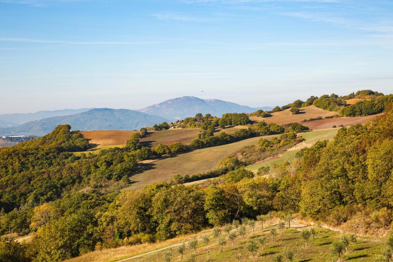 Tenuta Borgo Santa Cecilia 古比奥 外观 照片