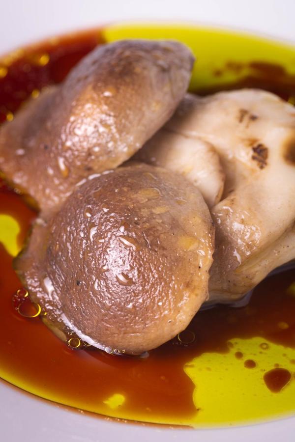 Tenuta Borgo Santa Cecilia 古比奥 外观 照片