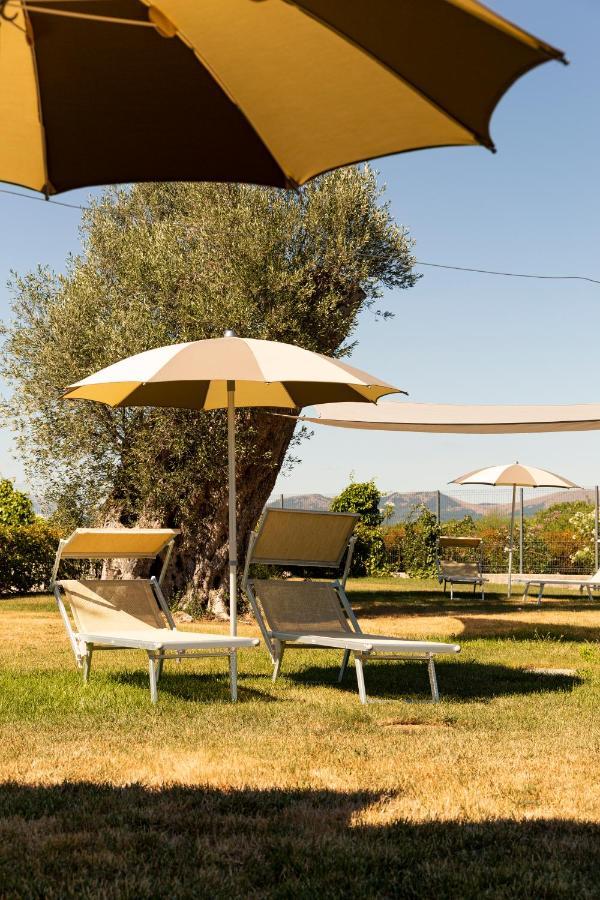 Tenuta Borgo Santa Cecilia 古比奥 外观 照片