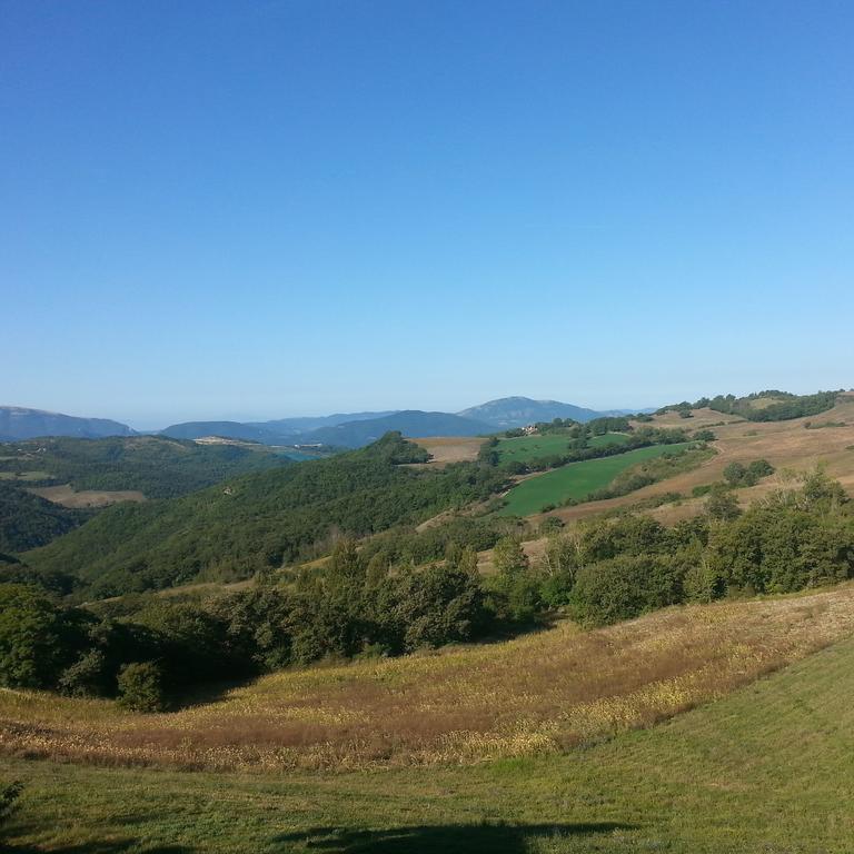 Tenuta Borgo Santa Cecilia 古比奥 外观 照片