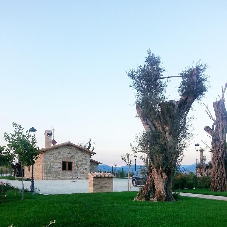 Tenuta Borgo Santa Cecilia 古比奥 外观 照片