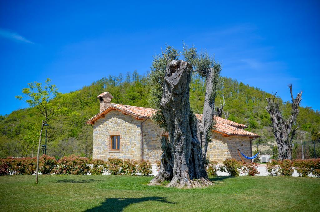 Tenuta Borgo Santa Cecilia 古比奥 外观 照片