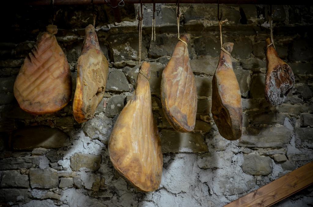 Tenuta Borgo Santa Cecilia 古比奥 外观 照片