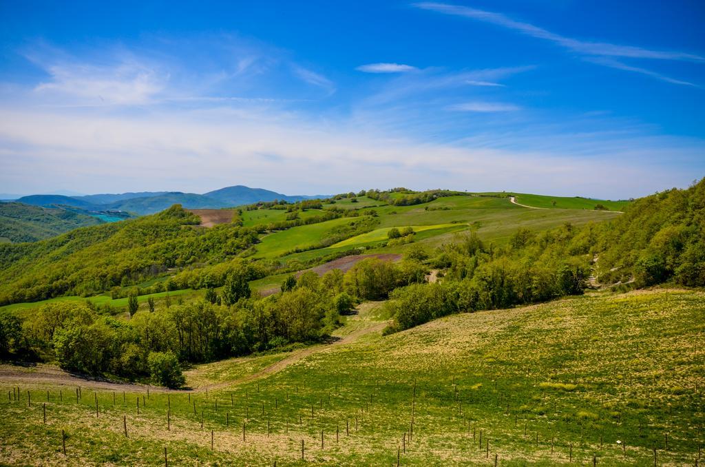 Tenuta Borgo Santa Cecilia 古比奥 外观 照片