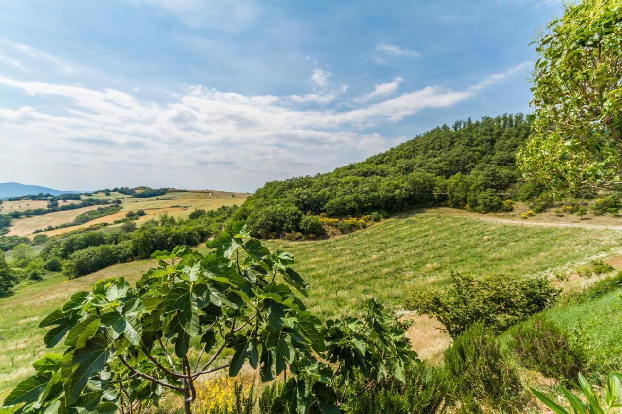 Tenuta Borgo Santa Cecilia 古比奥 外观 照片